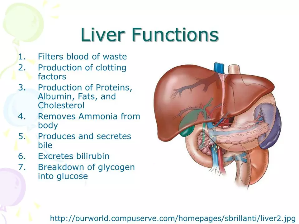 The Role of the Liver in Angioedema