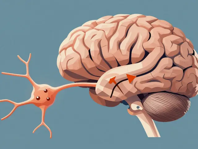 Central Sensitization: Understanding Amplified Pain Signals in Chronic Pain