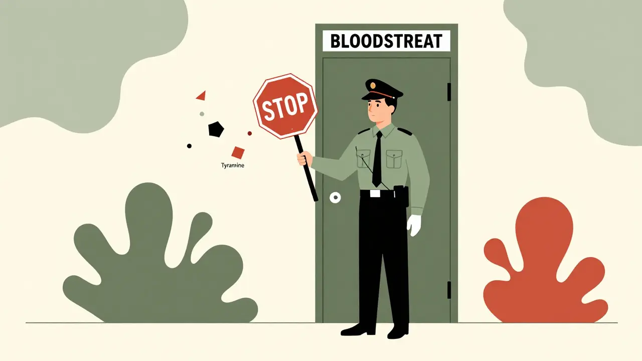 Stylized security guard blocking tyramine molecules from entering the bloodstream.